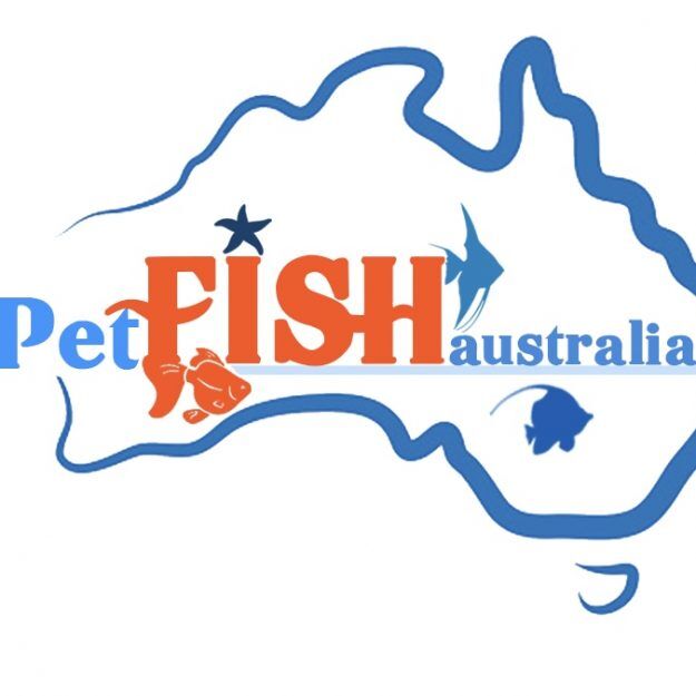 PET FISH AUSTRALIA