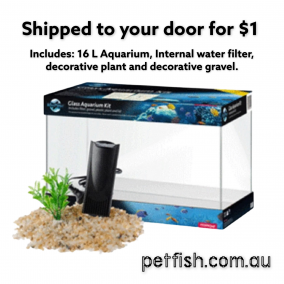 Aquarium 16L with Internal Filter “complete set $74 ….Shipped to your door for $1”