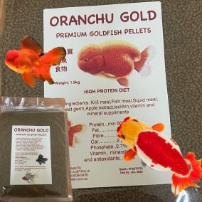 Oranchu Gold Premium Goldfish Pellet – 1.25 kg Value Pack